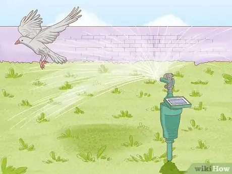 Imagen titulada Get Rid of Birds Step 10