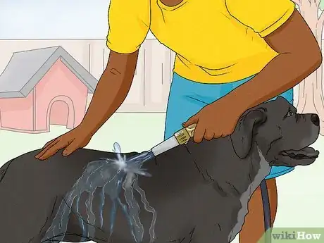 Imagen titulada Wash a Dog Without Shampoo Step 1