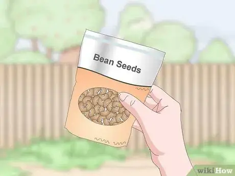 Imagen titulada Grow Beans and Peas Step 5