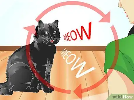 Imagen titulada Teach Your Cat to Talk Step 7