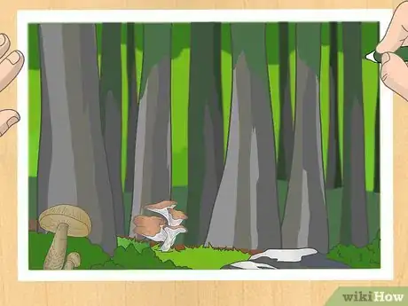 Imagen titulada Draw a Forest Step 15