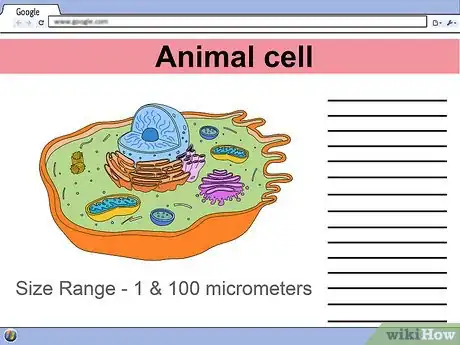 Imagen titulada Make a Model Cell Step 3