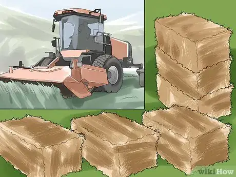 Imagen titulada Manage Pastures Using Rotational or Management Intensive Grazing Step 14