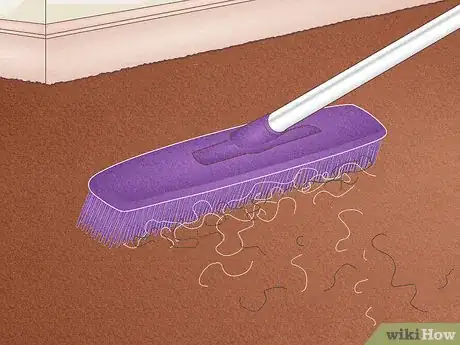 Imagen titulada Remove Hair from a Carpet Without Vacuuming Step 6