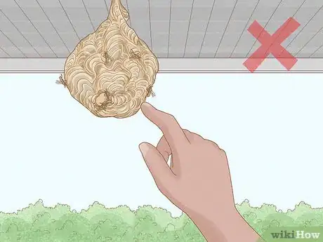 Imagen titulada Get Rid of a Wasp's Nest Step 4