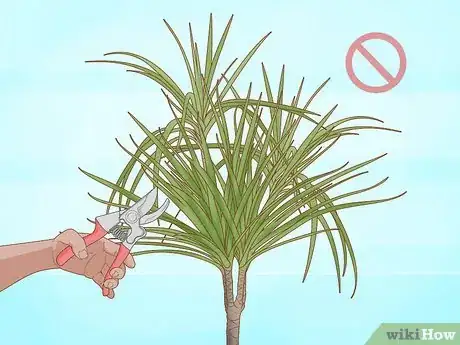 Imagen titulada Prune Dracaena Step 9