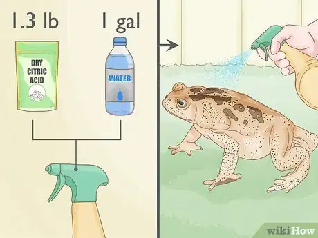 Imagen titulada Get Rid of Frogs Step 12