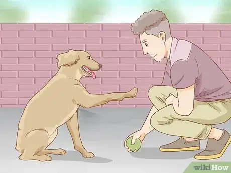 Imagen titulada Stop a Dog from Pawing Step 5