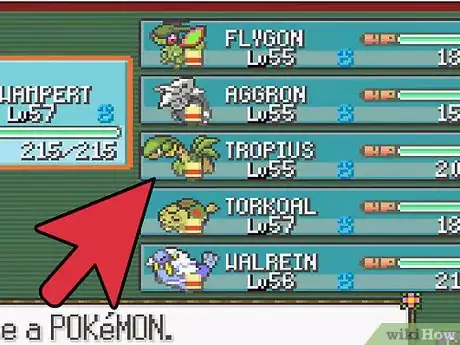 Imagen titulada Beat the Elite Four on Ruby, Sapphire, or Emerald Step 11