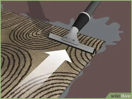 Imagen titulada Clean Rugs With Vinegar Step 5