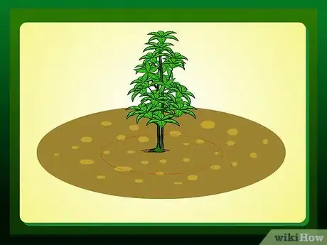 Imagen titulada Replant a Tree Step 3