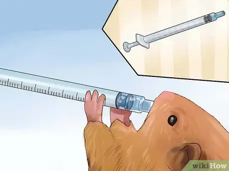 Imagen titulada Treat Your Sick Hamster Step 4