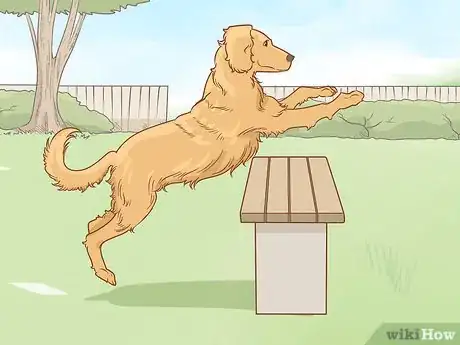 Imagen titulada Teach Your Dog to Jump Step 8