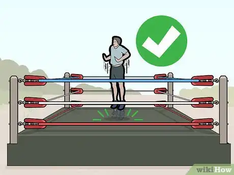 Imagen titulada Make Your Own Wrestling Ring Step 18