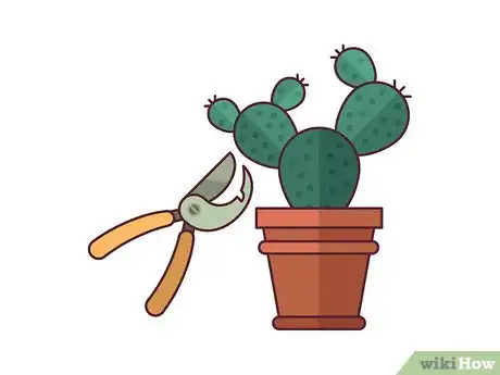 Imagen titulada Grow Cactus Indoors Step 1