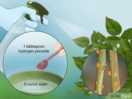 Imagen titulada Use Hydrogen Peroxide in the Garden Step 11