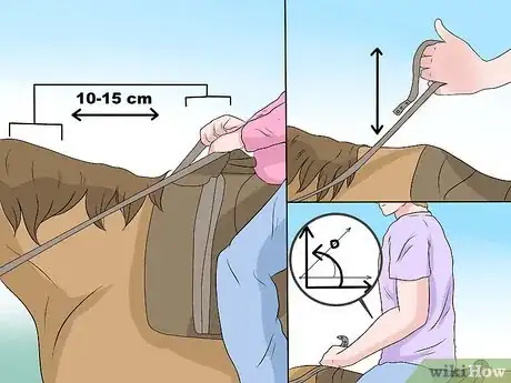 Imagen titulada Hold a Horse's Reins Step 6