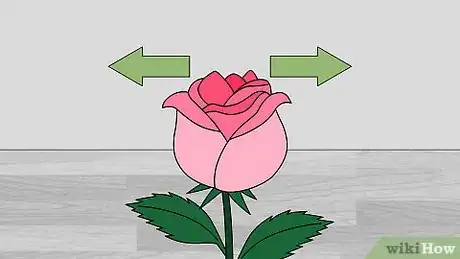 Imagen titulada Preserve a Rose Step 14