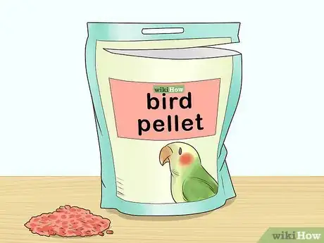 Imagen titulada Feed a Parrotlet Step 2