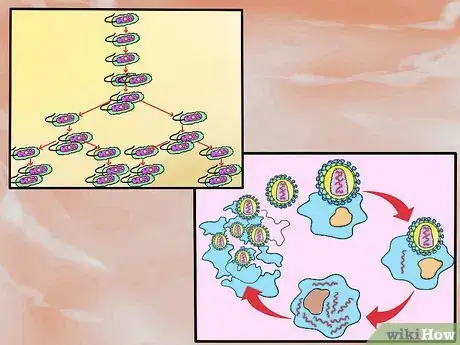 Imagen titulada Know the Difference Between Bacteria and Viruses Step 10