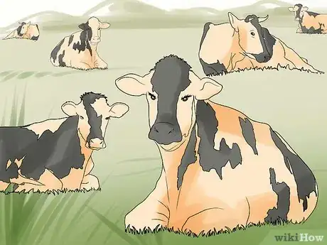 Imagen titulada Manage Pastures Using Rotational or Management Intensive Grazing Step 11