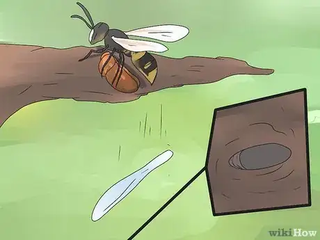 Imagen titulada Get Rid of Ground Digger Wasps (Cicada Killers) from Your Lawn Step 7