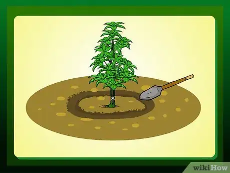 Imagen titulada Replant a Tree Step 5