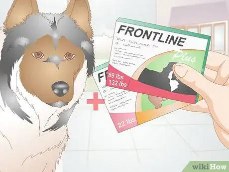 Imagen titulada Determine the Proper Frontline Plus Dosage for Dogs Step 8