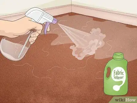 Imagen titulada Remove Hair from a Carpet Without Vacuuming Step 1