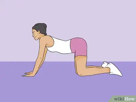 Imagen titulada Perform the Plank Exercise Step 1