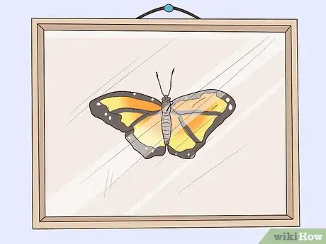Imagen titulada Preserve a Butterfly Step 10