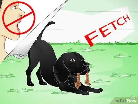 Imagen titulada Train Labrador Retrievers Step 13