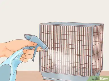 Imagen titulada Know if Finches Are Right for You Step 10