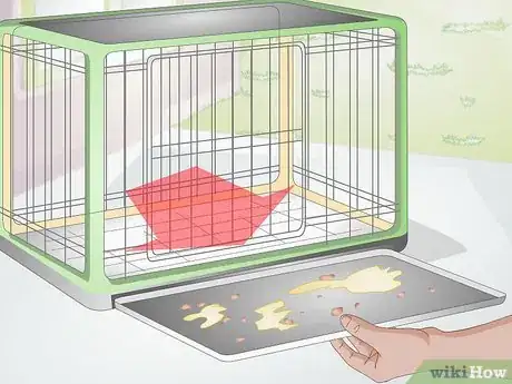 Imagen titulada Clean a Dog Crate Step 6