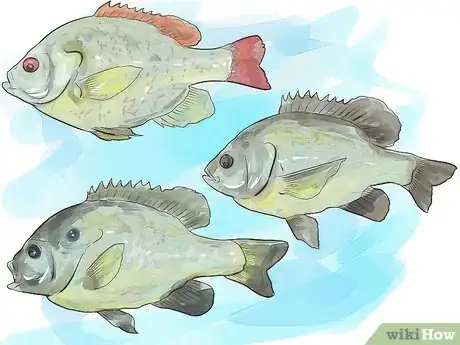 Imagen titulada Fish For Bream Step 4