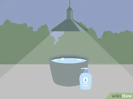 Imagen titulada Get Rid of Stink Bugs Step 13