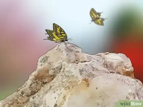 Imagen titulada Create a Butterfly Garden Step 12