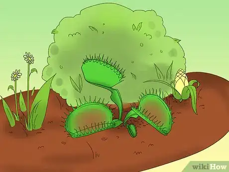 Imagen titulada Care for Venus Fly Traps Step 9