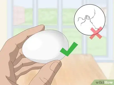 Imagen titulada Tell if Duck Eggs Are Dead or Alive Step 7