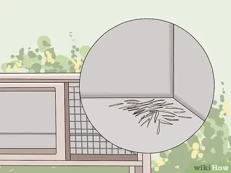 Imagen titulada Clean a Rabbit Hutch Step 4