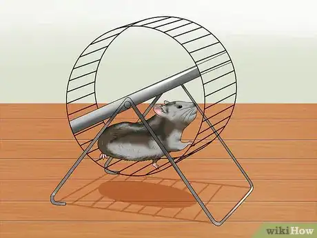 Imagen titulada Care for a Hamster That Bites Step 7