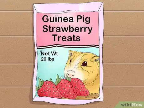 Imagen titulada Feed a Guinea Pig Step 6