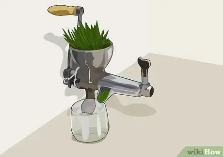 Imagen titulada Juice Wheatgrass Step 11