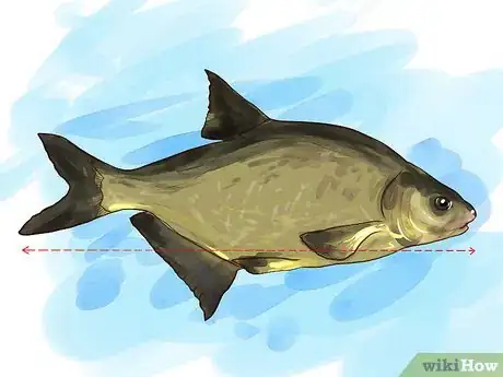 Imagen titulada Fish For Bream Step 2