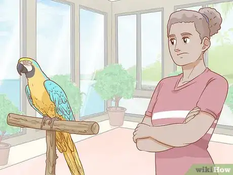 Imagen titulada Know if a Macaw Is Right for You Step 3