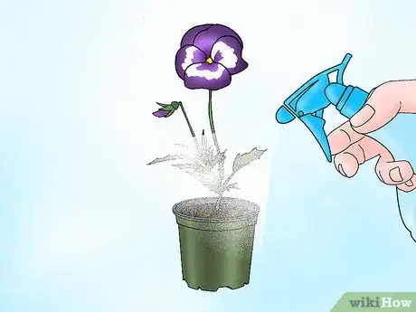 Imagen titulada Make Pansies Bloom Again Step 3