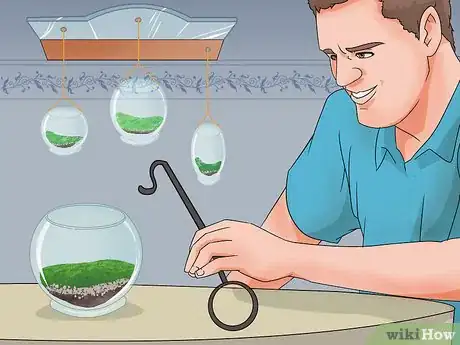 Imagen titulada Make Moss Terrariums Step 9