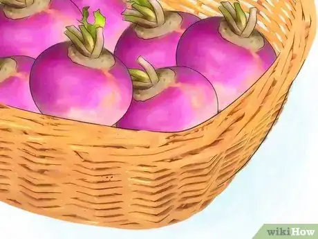 Imagen titulada Grow Turnips Step 13