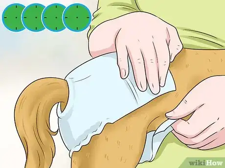 Imagen titulada Keep Diapers on a Dog Step 15