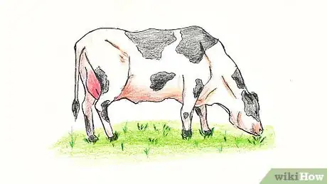 Imagen titulada Draw a Cow Step 36